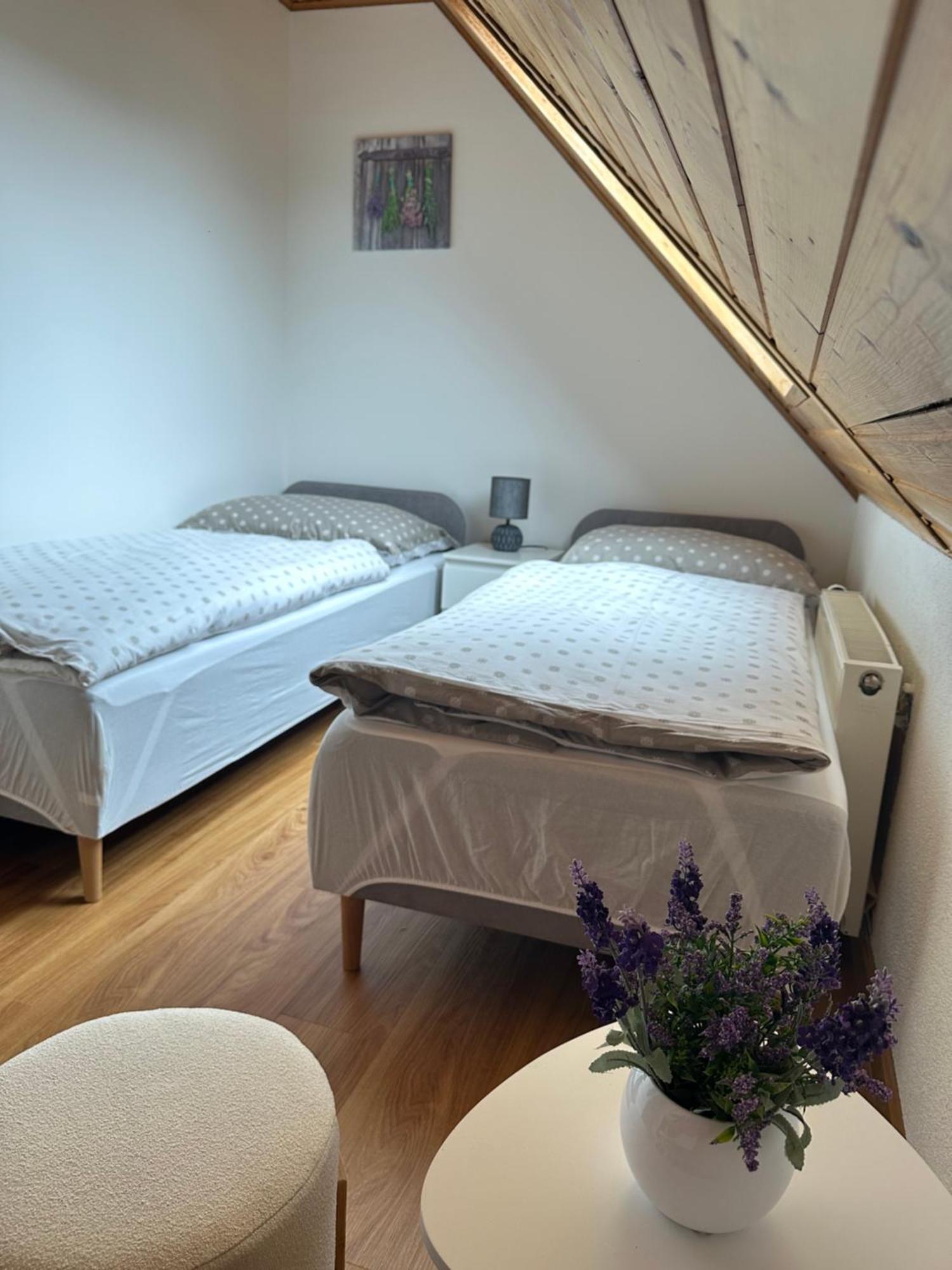 Apartman Jako U Babicky Tisá Exteriör bild