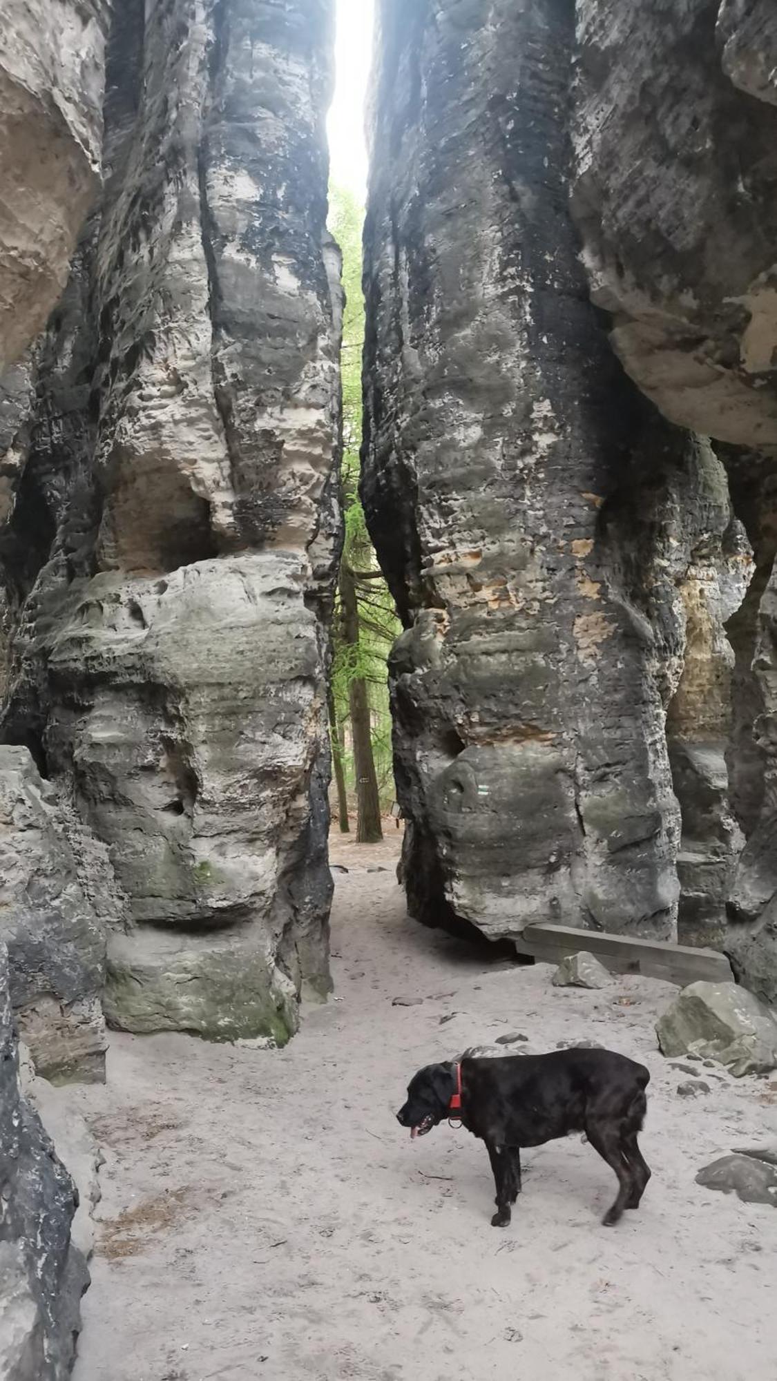 Apartman Jako U Babicky Tisá Exteriör bild